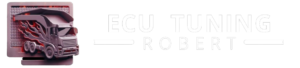 ECUTUNING_1280291 TRANSPARENTE HORIZONTAL e1710736550216